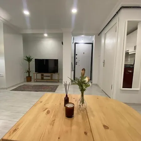 Renovated 2br Near Metro Κωνσταντινούπολη